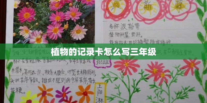 植物的记录卡怎么写三年级