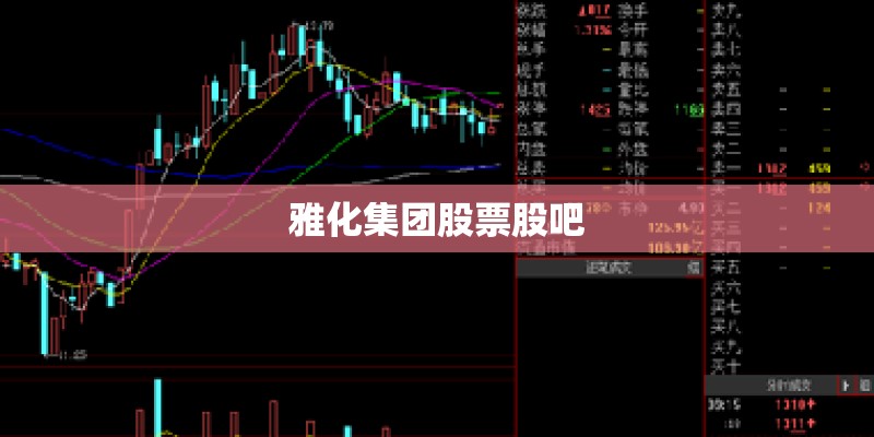 雅化集团股票股吧