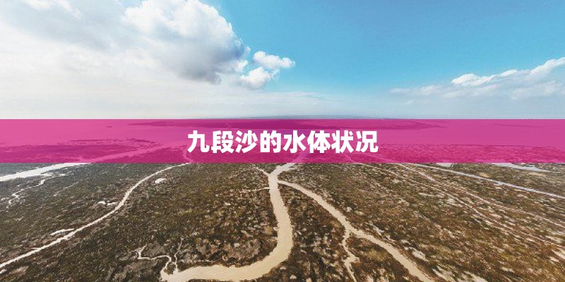 九段沙的水体状况