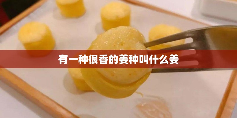 有一种很香的姜种叫什么姜