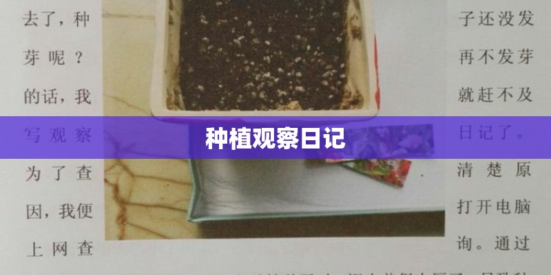 种植观察日记