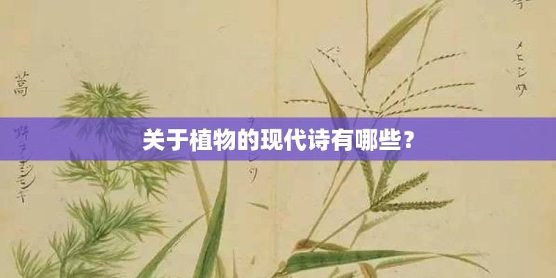 关于植物的现代诗有哪些？