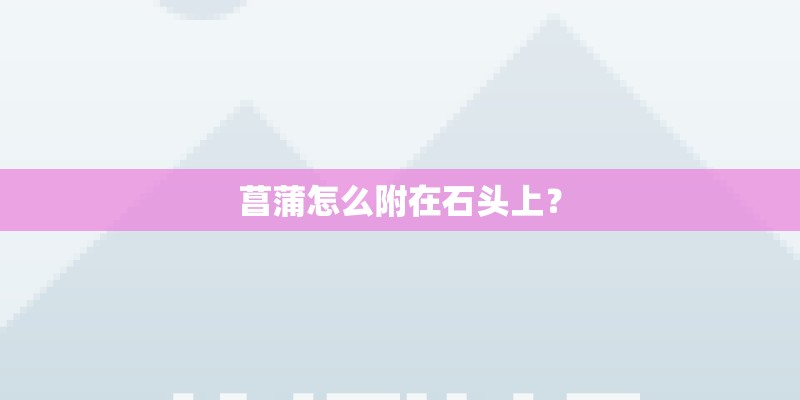 菖蒲怎么附在石头上？