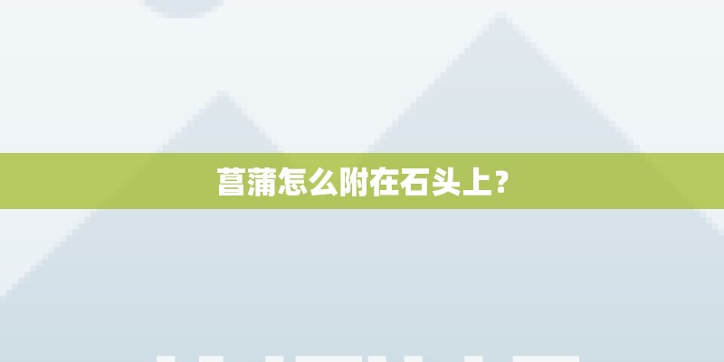 菖蒲怎么附在石头上？
