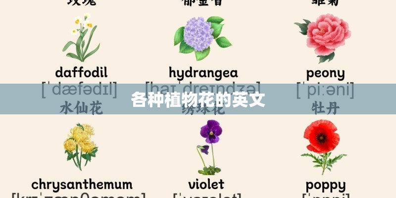 各种植物花的英文