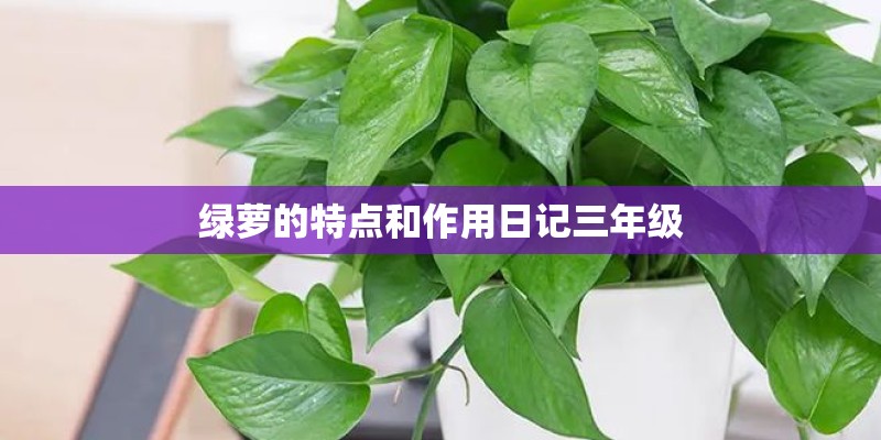 绿萝的特点和作用日记三年级