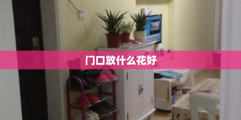 门口放什么花好