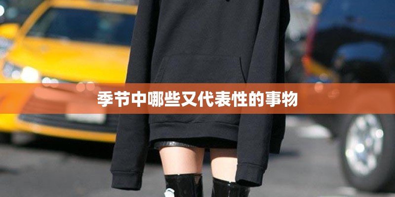 季节中哪些又代表性的事物