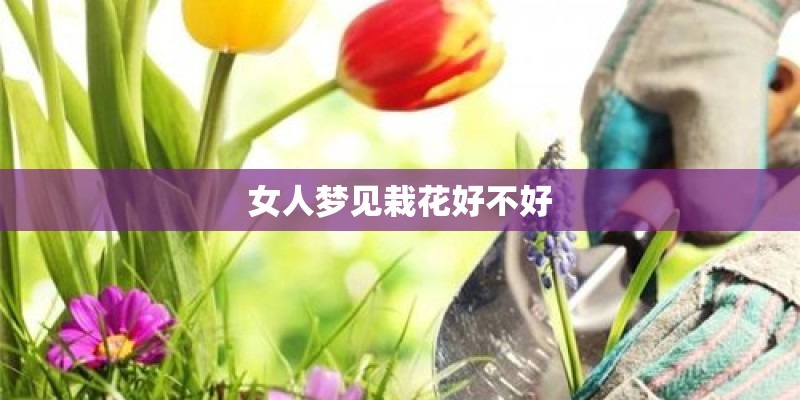 女人梦见栽花好不好