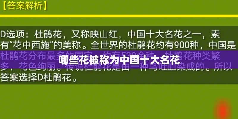 哪些花被称为中国十大名花