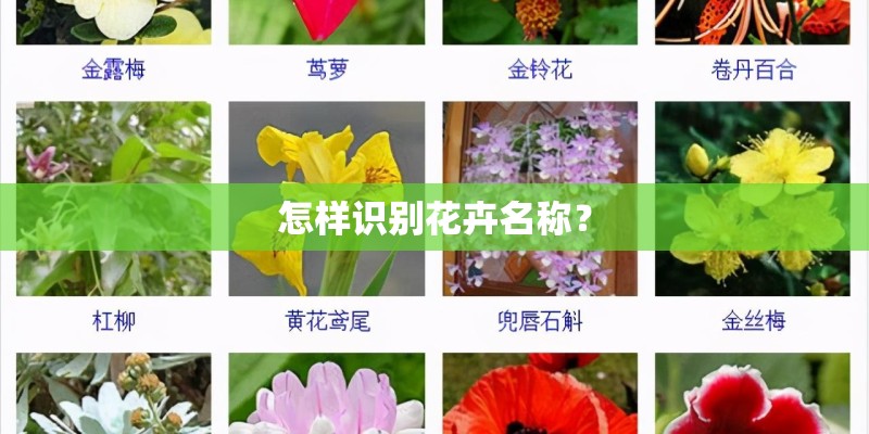 社区幼儿早教活动简报