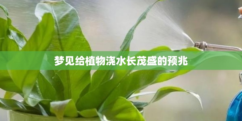 梦见给植物浇水长茂盛的预兆