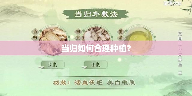 当归如何合理种植？
