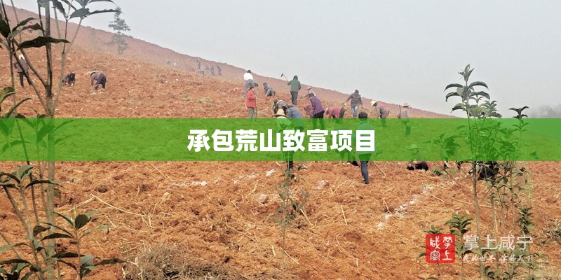 承包荒山致富项目