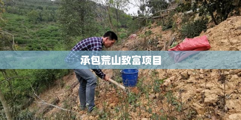 承包荒山致富项目