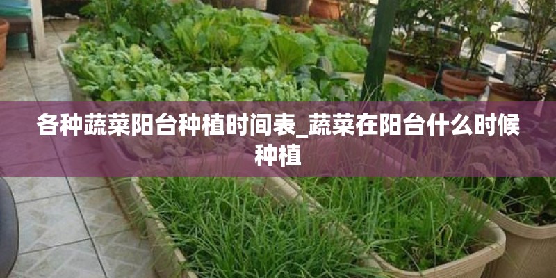各种蔬菜阳台种植时间表_蔬菜在阳台什么时候种植