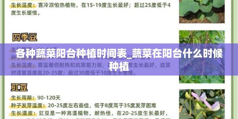 各种蔬菜阳台种植时间表_蔬菜在阳台什么时候种植