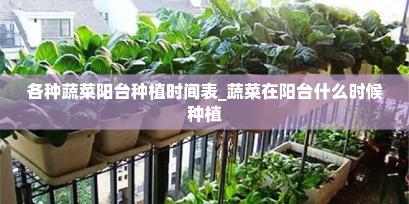 各种蔬菜阳台种植时间表_蔬菜在阳台什么时候种植