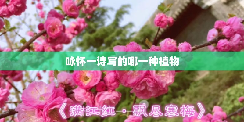 咏怀一诗写的哪一种植物