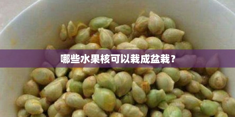 哪些水果核可以栽成盆栽？