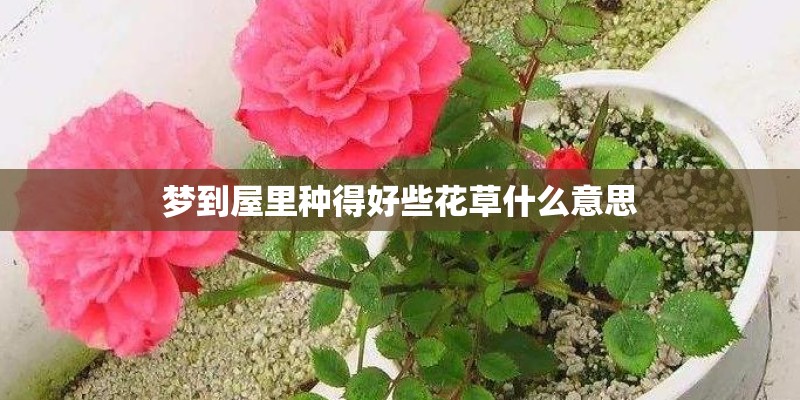 梦到屋里种得好些花草什么意思