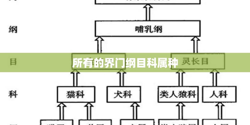 所有的界门纲目科属种
