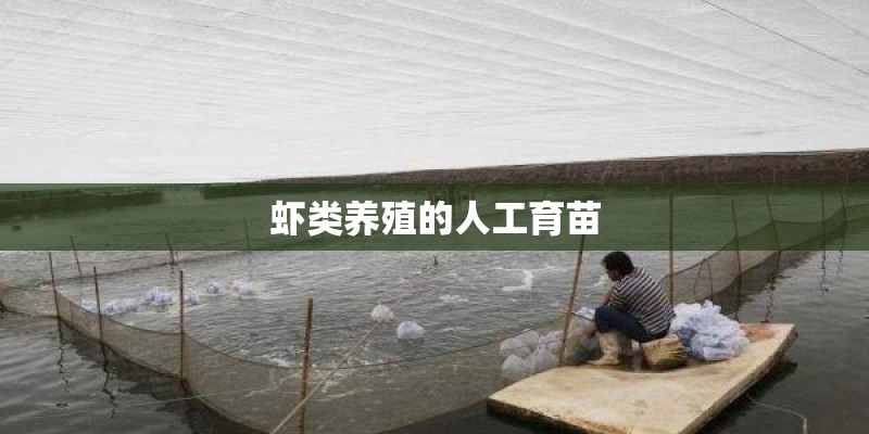 虾类养殖的人工育苗