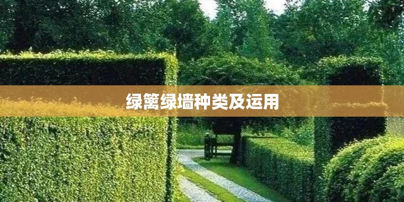 绿篱绿墙种类及运用