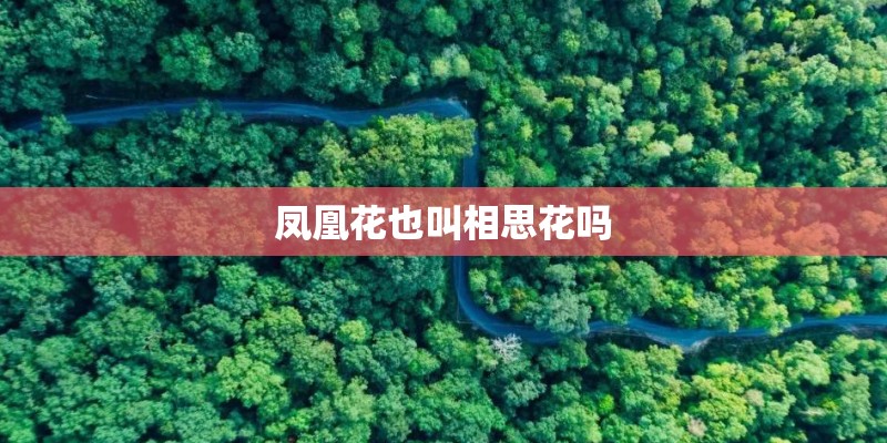 凤凰花也叫相思花吗