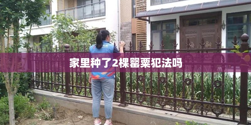 家里种了2棵罂粟犯法吗