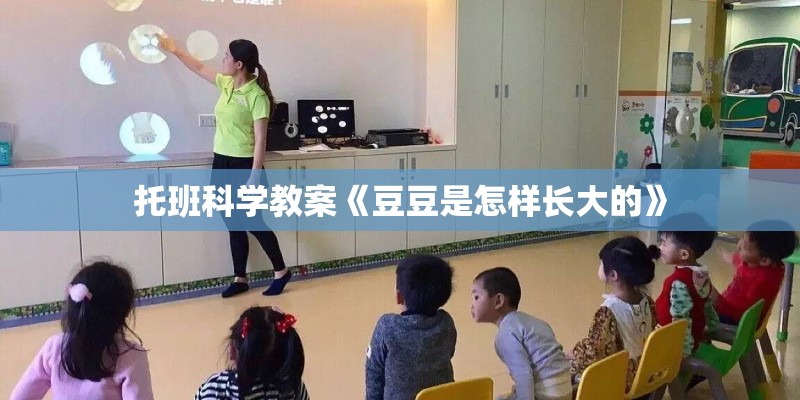 托班科学教案《豆豆是怎样长大的》