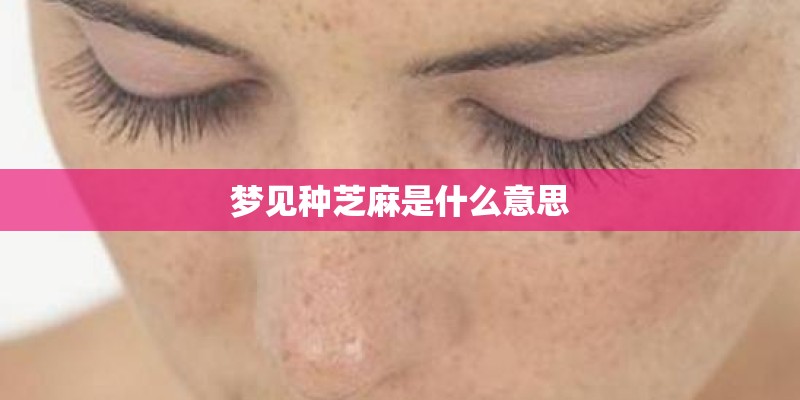 梦见种芝麻是什么意思