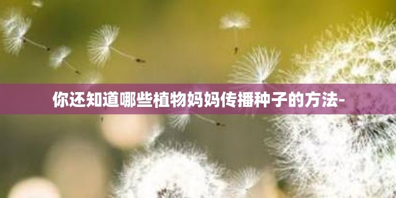 你还知道哪些植物妈妈传播种子的方法- 你还知道哪些植物妈妈传播种子的方法-