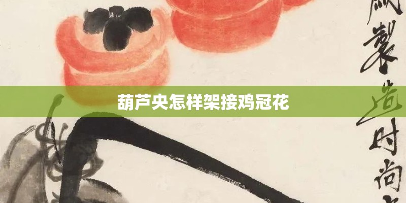 葫芦央怎样架接鸡冠花