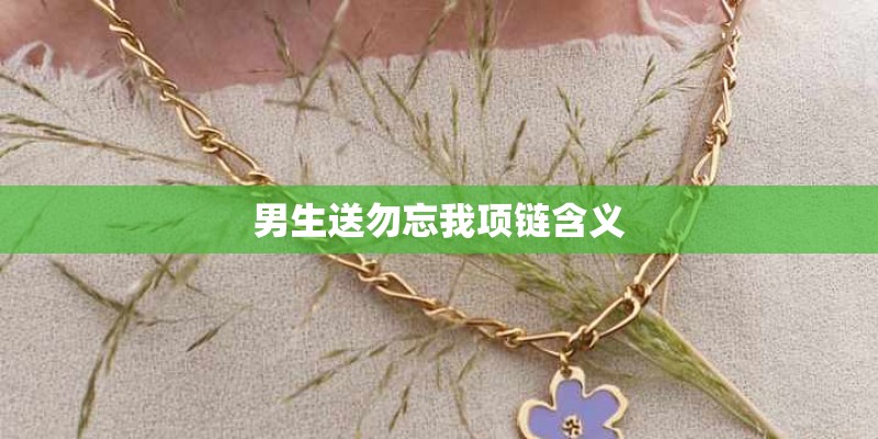 男生送勿忘我项链含义 男生送勿忘我项链含义