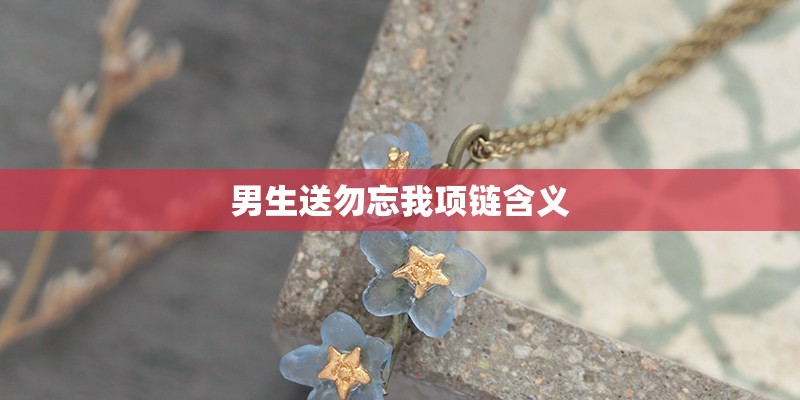 男生送勿忘我项链含义 男生送勿忘我项链含义