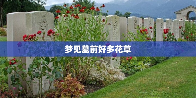 梦见墓前好多花草 梦见墓前好多花草