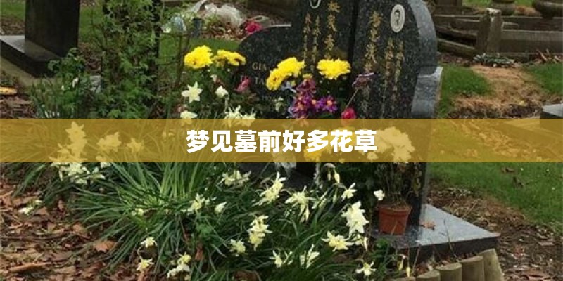梦见墓前好多花草 梦见墓前好多花草