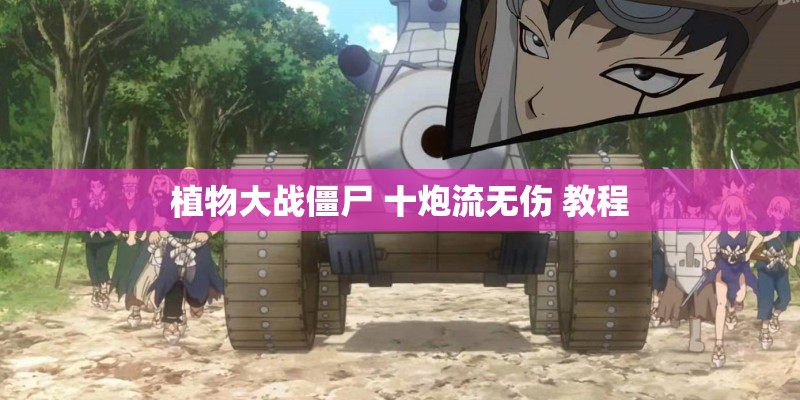 植物大战僵尸 十炮流无伤 教程