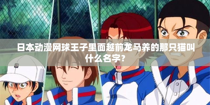 日本动漫网球王子里面越前龙马养的那只猫叫什么名字？