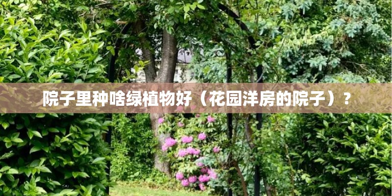 院子里种啥绿植物好(花园洋房的院子)? 院子里种啥绿植物好(花园洋房的院子)?