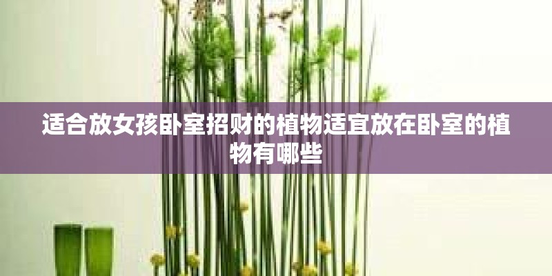 适合放女孩卧室招财的植物适宜放在卧室的植物有哪些