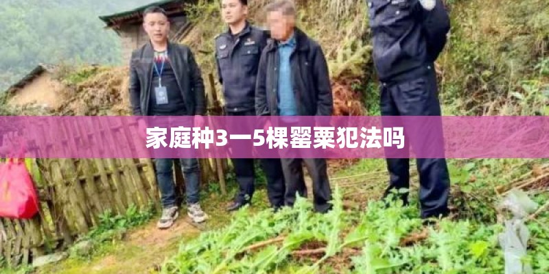 家庭种3一5棵罂粟犯法吗