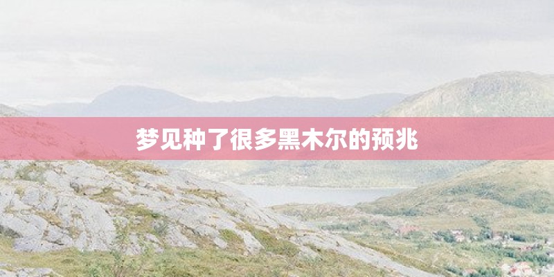 梦见种了很多黑木尔的预兆