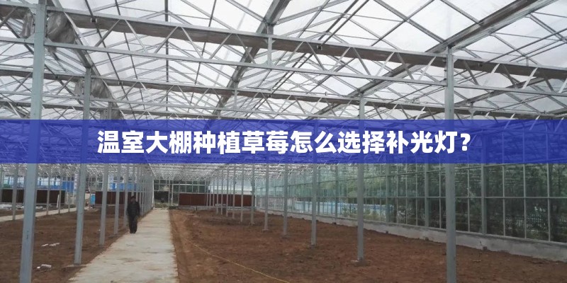 温室大棚种植草莓怎么选择补光灯? 温室大棚种植草莓怎么选择补光灯?