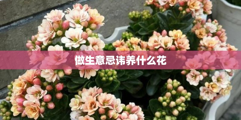 做生意忌讳养什么花