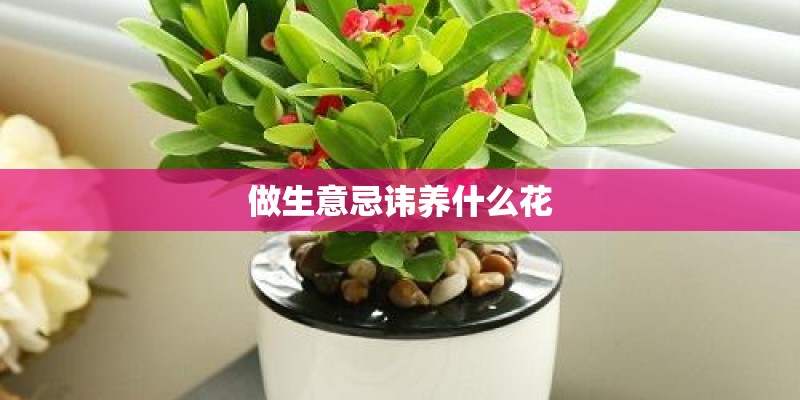 做生意忌讳养什么花
