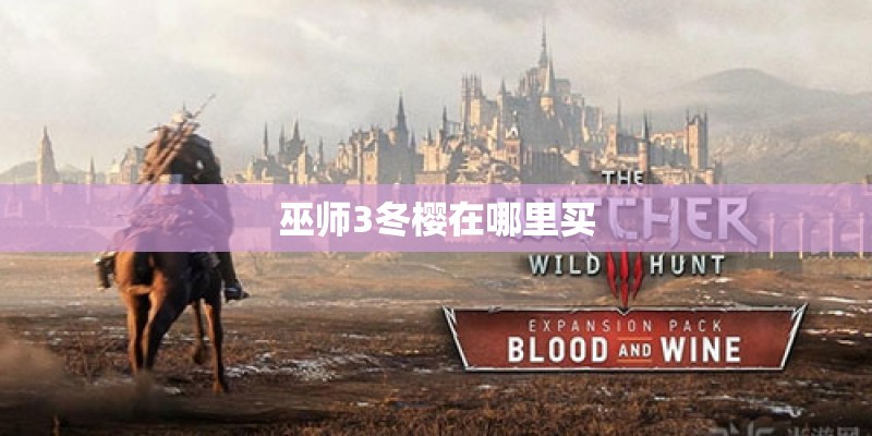 巫师3冬樱在哪里买