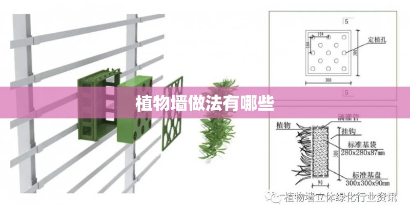 植物墙做法有哪些