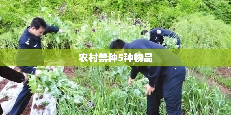 农村禁种5种物品
